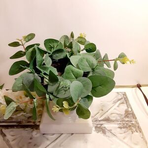 Farmhouse Mini Eucalyptus Wreath NWT